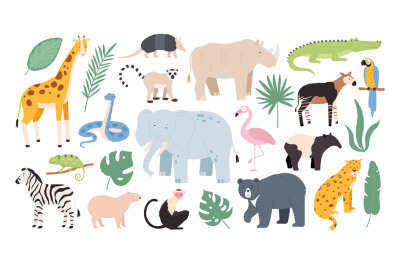 Flat wild safari animals from rainforest and savanna. Jungle forest bi