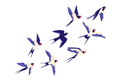 Flat small swallow bird flock flying in air. Cartoon group of barn swa