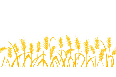 Cartoon farm field background with golden wheat spikes. Agriculture ce