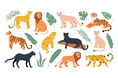 Big feline family animals&2C; tiger&2C; lion&2C; cheetah and leopard. Wild cats