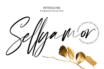 Sellyamor Signature Script Font