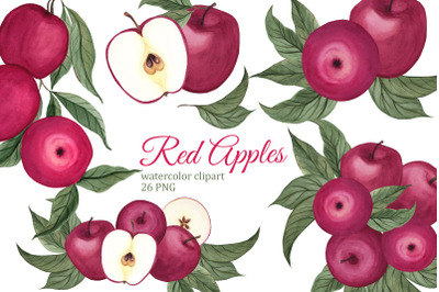 Red Apples Watercolor Clipart. Autumn, Summer PNG, Fall wreath, Harves