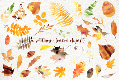Watercolor autumn falling leave clipart