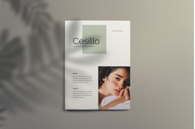 Cesillo - Brochure Template Indesign