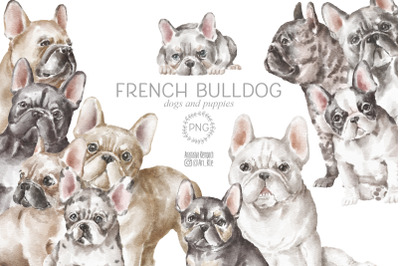 French Bulldog dogs and puppies clipart png