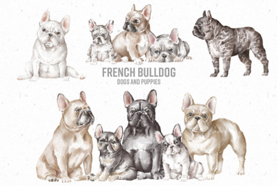 French Bulldog dogs and puppies clipart png