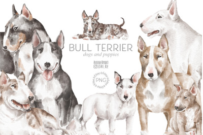 Bullterier dogs and puppies png clipart