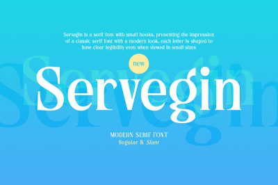 Servegin - Modern Serif Font