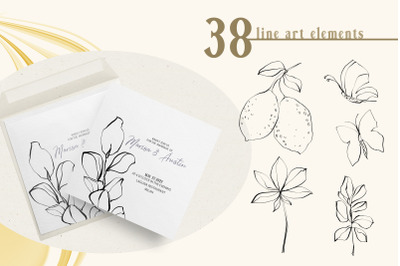 Floral line art clipart. Botanical line drawing-38 PNG files