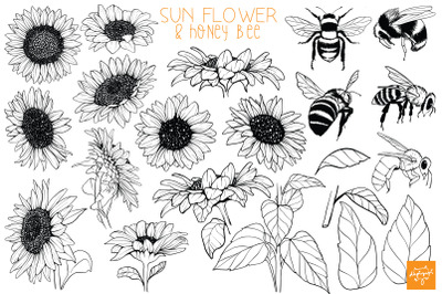 Sun Flower and Honey Bee Clipart Bundle