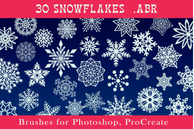 Snowflakes Brushes for Photoshop, ProCreate .ABR