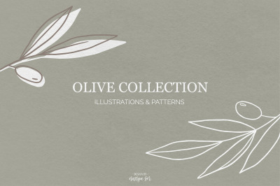Olive branch graphic collection