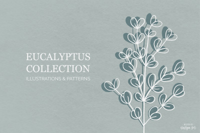 Eucalyptus graphic collection