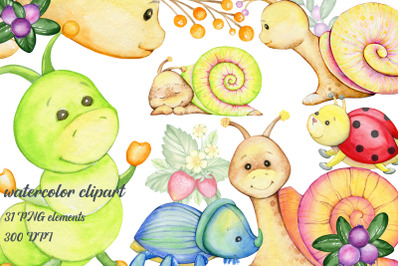 watercolor animals, snails clipart, ladybug, beetle, caterpillar, stra