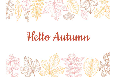 Sketch autumn leaves background. Fall leaf banner, colorful drawing fo