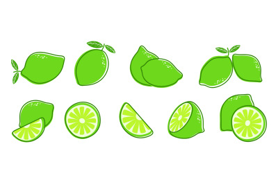 Cut lime. Fresh citrus fruit, slice and leaves. Isolated green lemon i