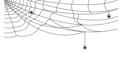 Cobweb banner. Halloween spider web&2C; black spooky network background.