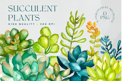 Greenery Succulent Plants Watercolor Cliparts