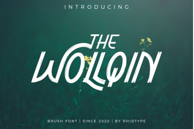 The Wollqin