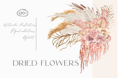 Dried flowers boho watercolor png