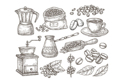 Hand drawn natural coffee. Graphics beans, sketch gourmet morning drin