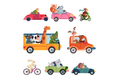 Animal transport. Fun cartoon car, cute drivers traveling. Funny bear