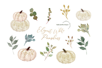 Elegant White Cream Pumpkin clipart&2C;  Ivory white Pumpkin illustration