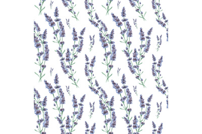 Lavender watercolor seamless pattern. Flower pattern