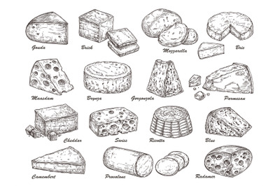 Sketch cheese. Hand drawn product, holland tasty dairy cuisine food. I