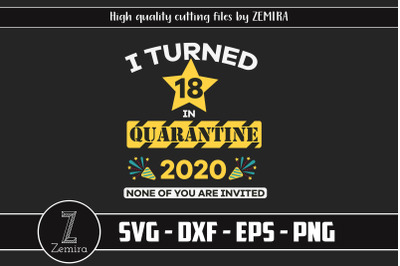 Birthday 17th In Quarantine 2020 SVG