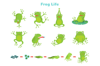 Cartoon frog. Cute green frogs, isolated wild animal in different pose