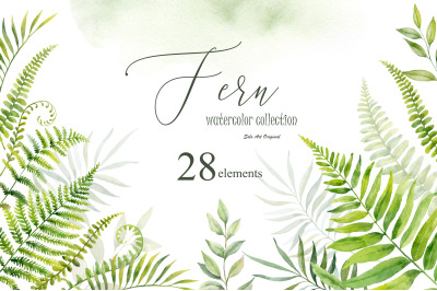 Fern leaves,branches,grass. Greenery Clipart Watercolor.