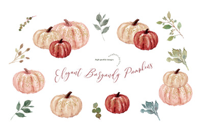 Burgundy Pumpkin Watercolor Clipart&2C; Elegant Burgundy Clip art