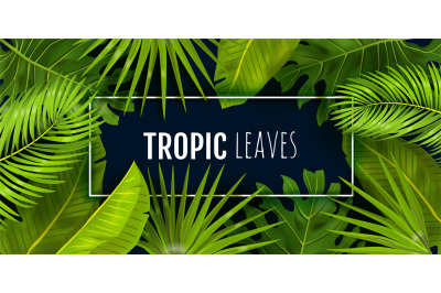 Tropic background. Realistic jungle foliage&2C; frame with text. Monstera