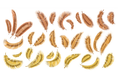 Golden feathers. Realistic falling fluffy bird plume&2C; feather heaven d