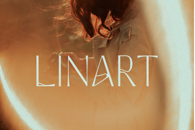 Linart. Modern Sans Serif Font