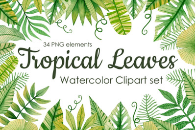 Watercolor tropical leaves clipart.