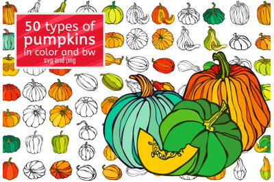 50 types of pumpkins in color and bw svg png, set of beautiful pumpkin