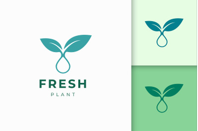 Plant Oil Logo Template For Health Care