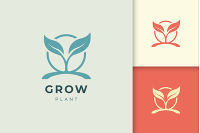 Natural Organic Logo Template