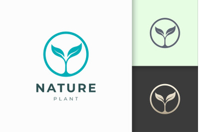 Clean and Simple Plant Logo Template