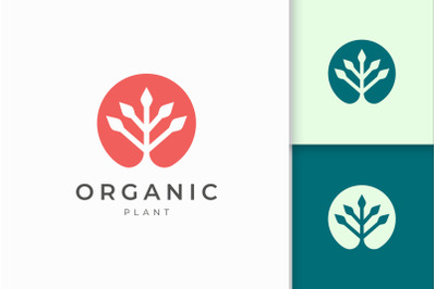 Natural Organic Logo Template