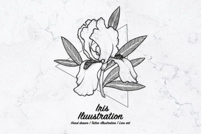 Iris illustration. Line art vector illustration.