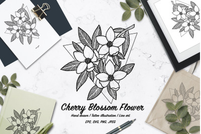 Cherry blossom flower. Line art vector illustration. Tattoo sketch.