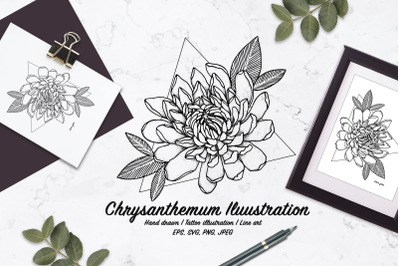 Chrysanthemum illustration. Vector line art. SVG,EPS,JPG,PNG