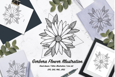 Gerbera flower illustration/ Tattoo/ Line art vector