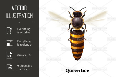 Bee Queen