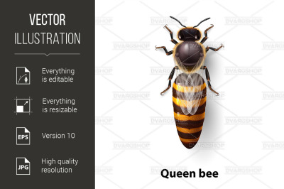 Bee Queen