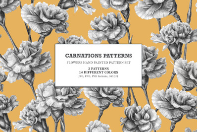 Carnations Patterns.Hand painted pattern set of flowers.  2 hand paint