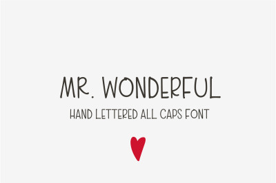 Mr. Wonderful